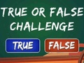 True Or False Challenge 