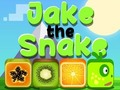 Jake The Snake 