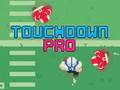 Touchdown Pro 