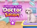 Labrador at the doctor salon 