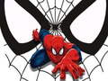Spiderman Match Cards 