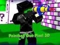 Paintball Gun Pixel 3D 