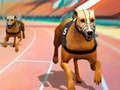 Dogs 3D Races 
