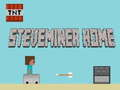 Steveminer Home 
