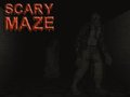 Scary Maze 