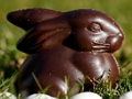 Chocolate Bunny Jigsaw 