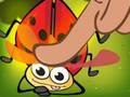 Insect Cush 