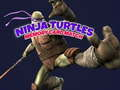 Ninja Turtles Memory card Match 