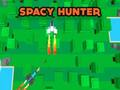 Spacy Hunter 