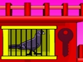 Black Pigeon Escape 