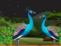 Couple Parrot Escape 