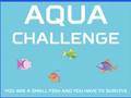 Aqua Challenge 