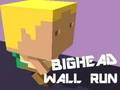 Bighead Wall Run 