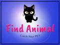 Find Animal 