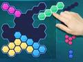 Block Hexa Puzzle 