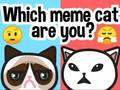 Which Meme Cat Are You? 