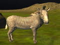Real Jungle Animals Hunting 