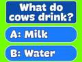 Trivia Best Family Quiz 