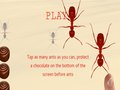 Smash All Ants 