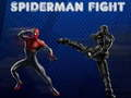 Spiderman Fight 