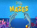 Nat Geo Kids Mazes 