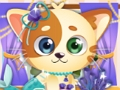 Funny Kitty Care 