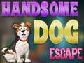 Handsome Dog Escape 