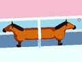 Horse Divorce 