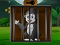 Infant Chimp Escape 