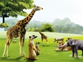 Animals Slide Puzzle 