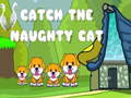 Catch the naughty cat 
