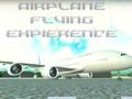 Airplane Flying Experience 