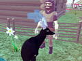 Deer Simulator 3D 