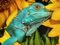 Ultimate Puzzles Animals 6 