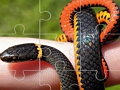 Snakes Puzzle 