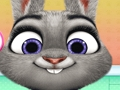 Bunny Ear Infection 