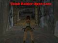 Tomb Raider Open Lara 