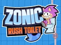 Sonic Rush Toilet 