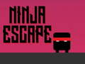 Ninja escape 