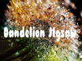 Dandelion Jigsaw 