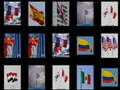 Memorize the flags 