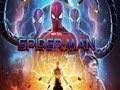 Spider Man: Multiverse 