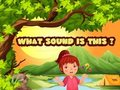 What Sound Is This? 