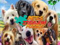 Pets JigSaw Puzzle 