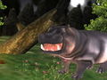 Wild Hippopotamus Hunting 
