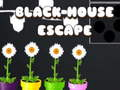 Black House Escape 