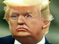 Fun e Face 