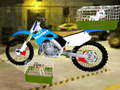 Pet delivery by motorcycle 