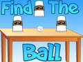 Find The Ball 