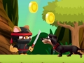 Ninja Cats 